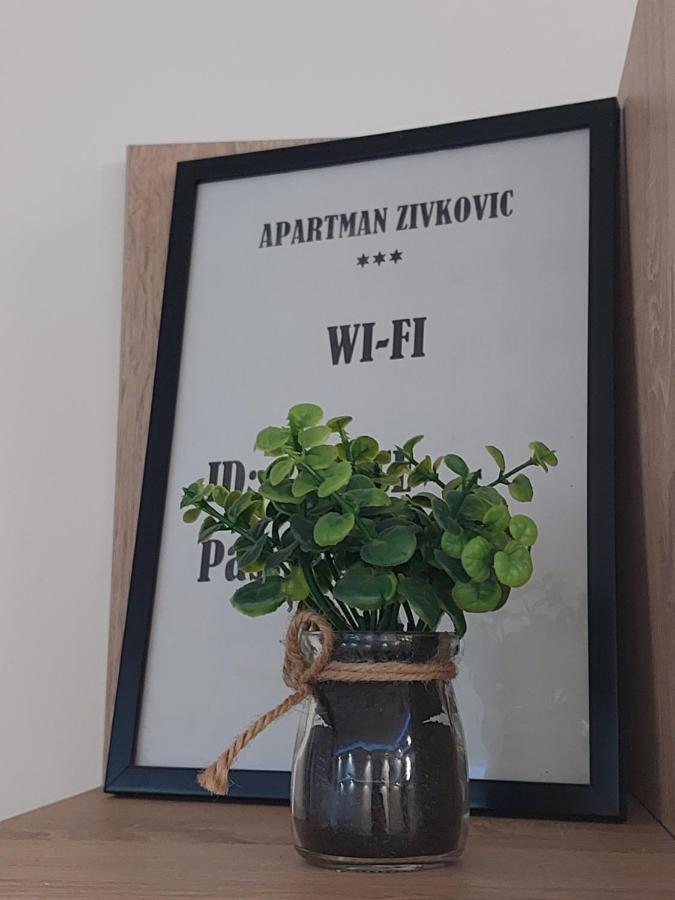 Apartman Zivkovic Лесковац Екстериор снимка