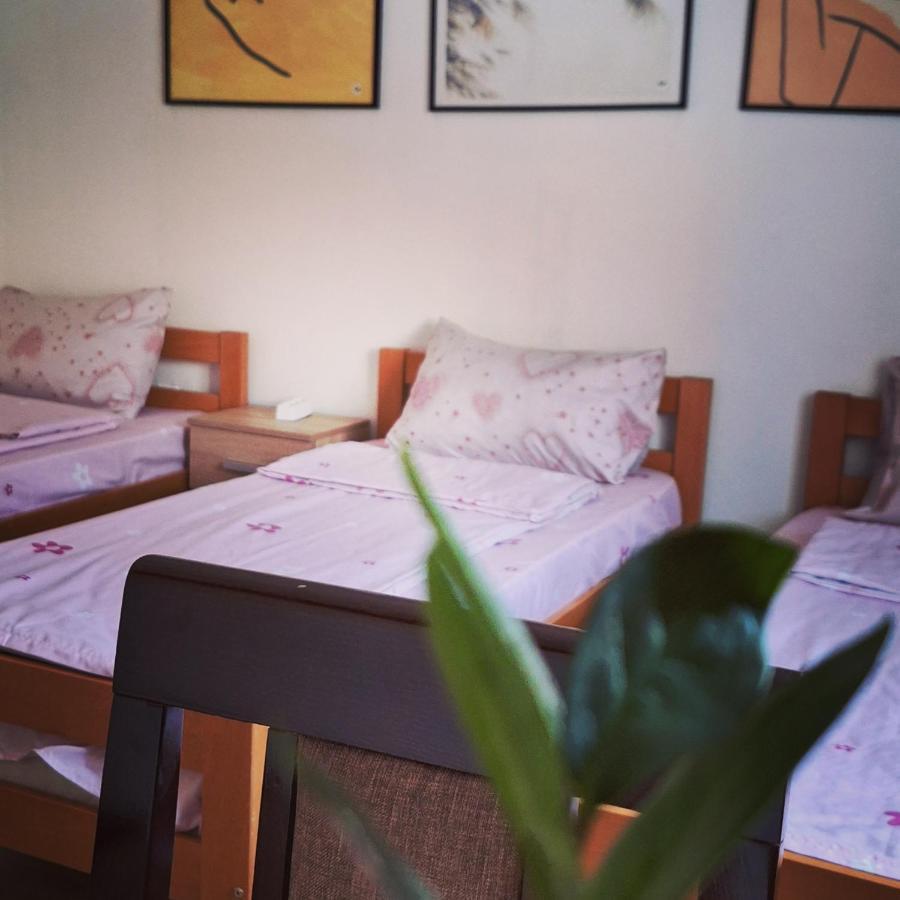 Apartman Zivkovic Лесковац Екстериор снимка